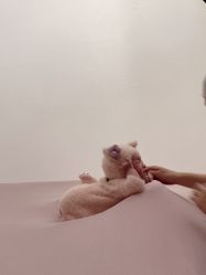 -玛瑞莎·儿童·亲子摄影(越秀店)