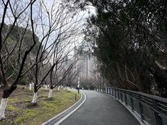 -苏州河梦清园环保主题公园