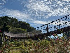 -东莞植物园