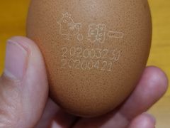 -厚道寿喜烧専門店(宝龙环湖店)