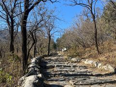 -阳台山自然风景区