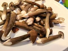 -千岛蚝高压锅生蚝·人参火锅(白云万达店)