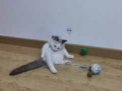 -KKV(深圳宏发大仟里店)