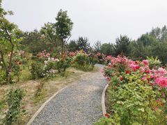 -东郊湿地公园