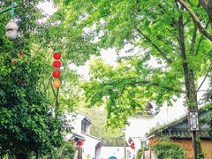 -西溪国家湿地公园