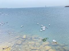 -青海湖二郎剑景区
