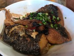 -印象鲵宴·张家界地标美食名片(溪布街店)