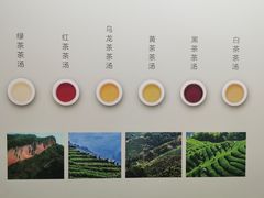 -中国茶叶博物馆(双峰馆区)