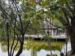 -九龙公园