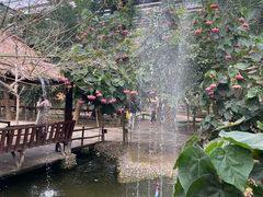 -呀路古热带植物园-恐龙馆