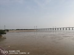 -宝安西湾红树林湿地公园