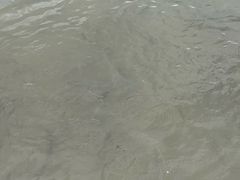 -海珠湖公园
