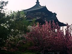 -西安青龙寺遗址景区