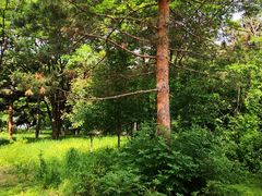 -长春市南湖公园