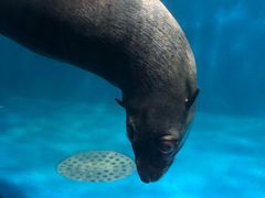 -成都浩海立方海洋公园