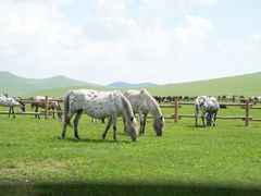 -莫日格勒旅游景区