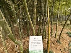 -兰亭风景区