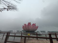 -白洋淀景区