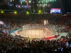 -俄罗斯国家大马戏团