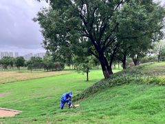 -汉长安城未央宫国家考古遗址公园