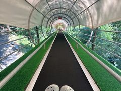 -藏龙百瀑风景区