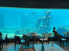-涛·海底餐厅·美人鱼·自助餐·海底隧道(三亚海棠湾洲际度假酒店)