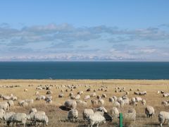 -青海湖国家重点风景名胜区