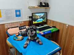 -宠福鑫动物医院·动物疾病诊疗中心(天通苑店)