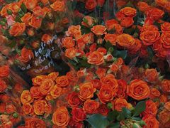 -循礼门鲜花花市(武汉循礼门店)