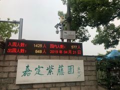 -嘉定紫藤园