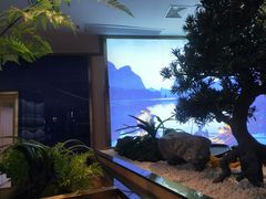 -马家斑.鲜鱼火锅(松湖万科店)