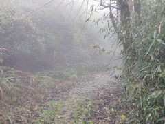 -东白山