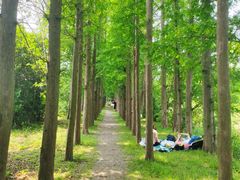 -上海长兴岛郊野公园