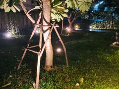 -Let's Relax Spa(Phuket 3rd Street)