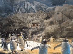 -香港海洋公园