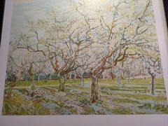 -CoCo都可(台东和兴店)