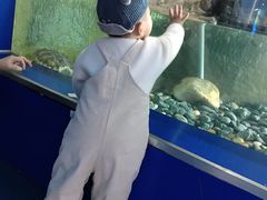 -厦门海底世界