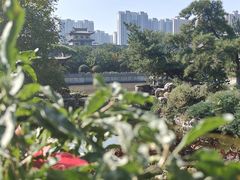 -善化寺