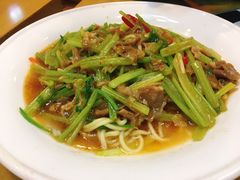 沙茶羊肉炒面-台北楚楚园馅饼粥(虹桥南丰城店)
