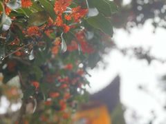 -无锡梅园公园