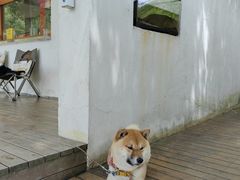 -阿林有机农庄