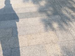 -豆舞咖啡(民乐路店)