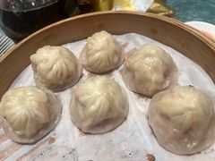 -新雅粤菜馆(南京东路店)