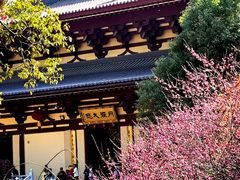 -庐山风景名胜区-东林大佛