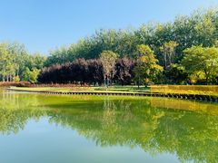 -仁和公园(顺义区)