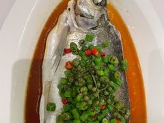 藤椒白水鱼-西湖春天•老字号杭州菜(百汇店)