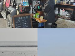 -合肥滨湖国家森林公园