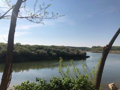 -丁香湖公园