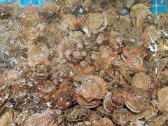 -和源祥·日照菜扛把子(万平口一店)