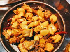 -志晖园圆子鸡·辣子鸡(阳光店)